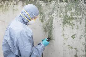 Trusted Eminence, KY Mold Prevention & Removal  Experts